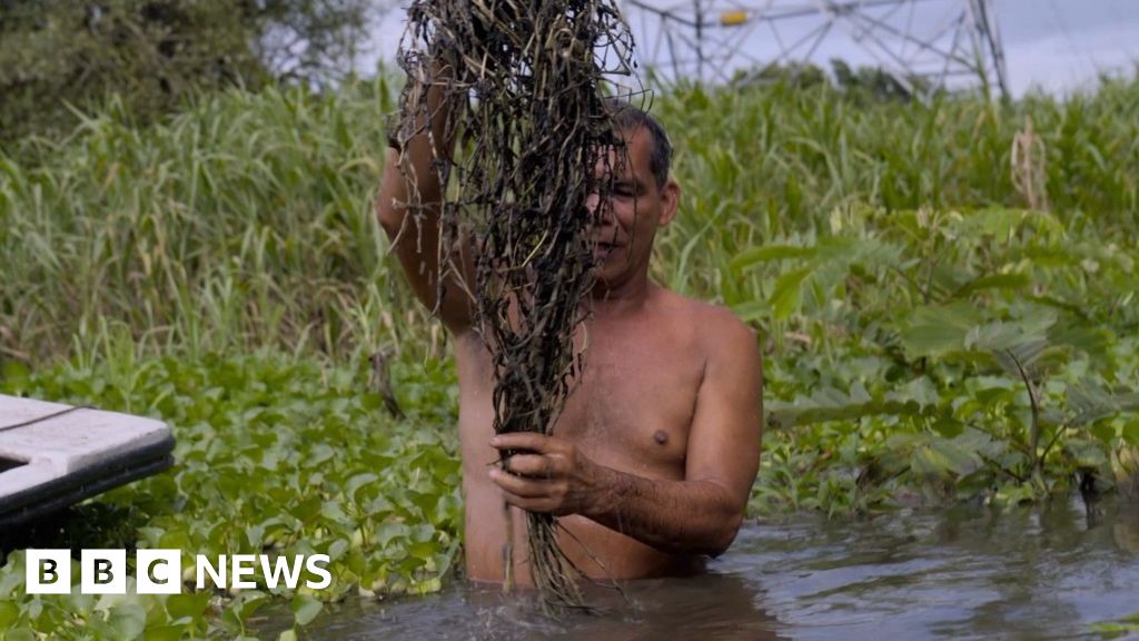 Whistleblower reveals Colombia oil giant’s ‘awful’ pollution news