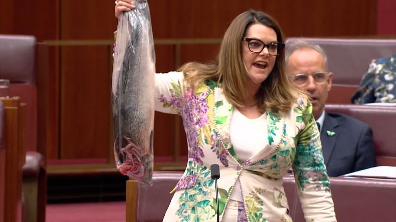 Here’s why a politician held up a ‘rotten, stinking, extinction salmon’ in parliament
