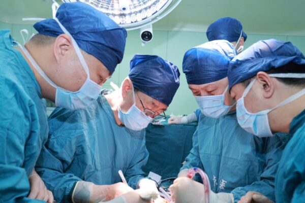 Experimental transplant of gene-edited pig liver into human offers hope for new frontier of research News