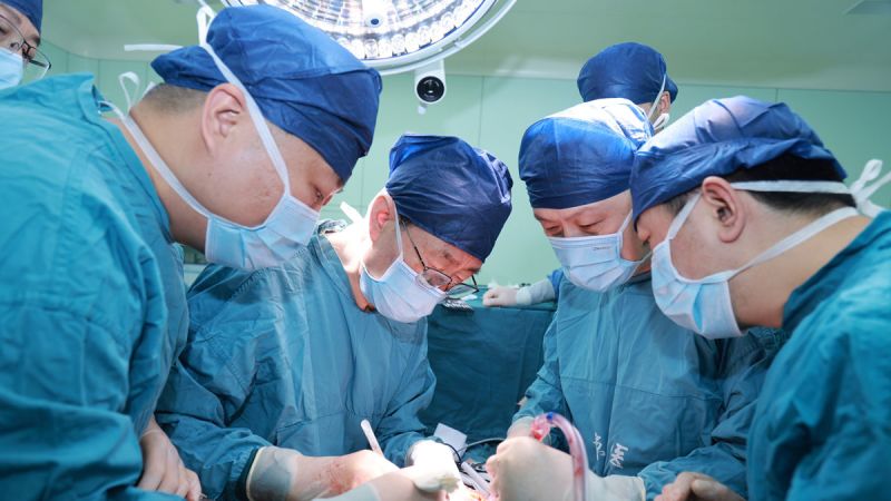 Experimental transplant of gene-edited pig liver into human offers hope for new frontier of research News